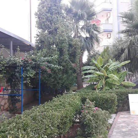 Druid Grove Residance Apartment Alanya