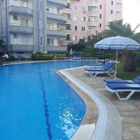 Druıd Grove Residance Daire