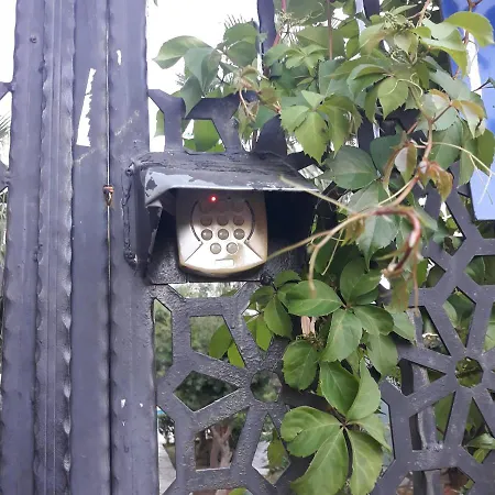 Druıd Grove Residance Daire