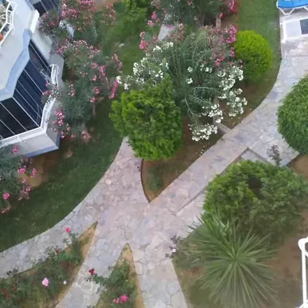 Daire Druıd Grove Residance