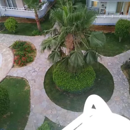 Druid Grove Residance Appartamento *